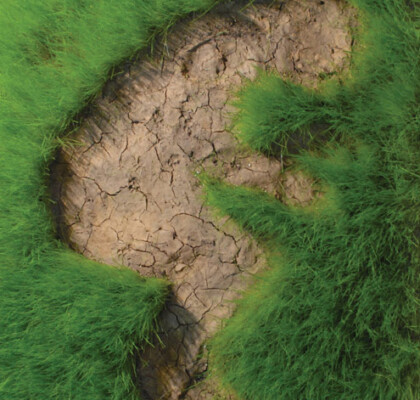 clay, grass, 100x120 cm Artis Causa, Thessaloniki. On the marks of the nails