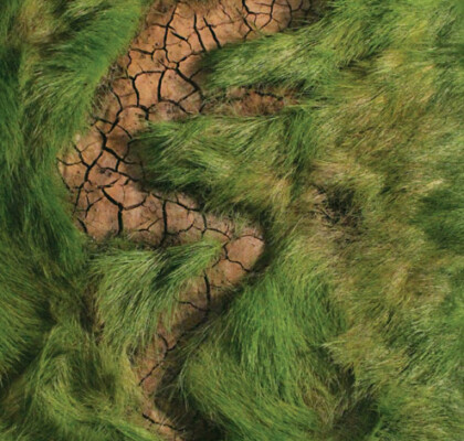 On the marks of the nails