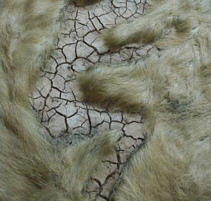 On the marks of the nails